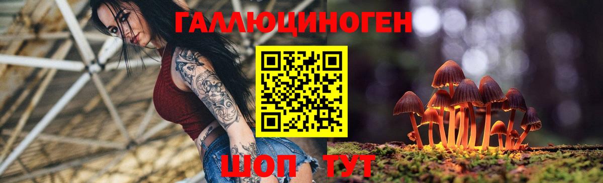 где купить наркоту  Вход с VPN  Канск  Галлюциногенные грибы Cubensis 